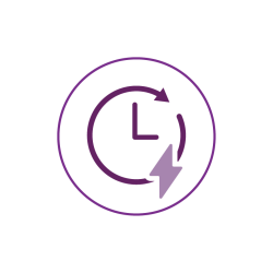 Circle Icon -21 rapid results
